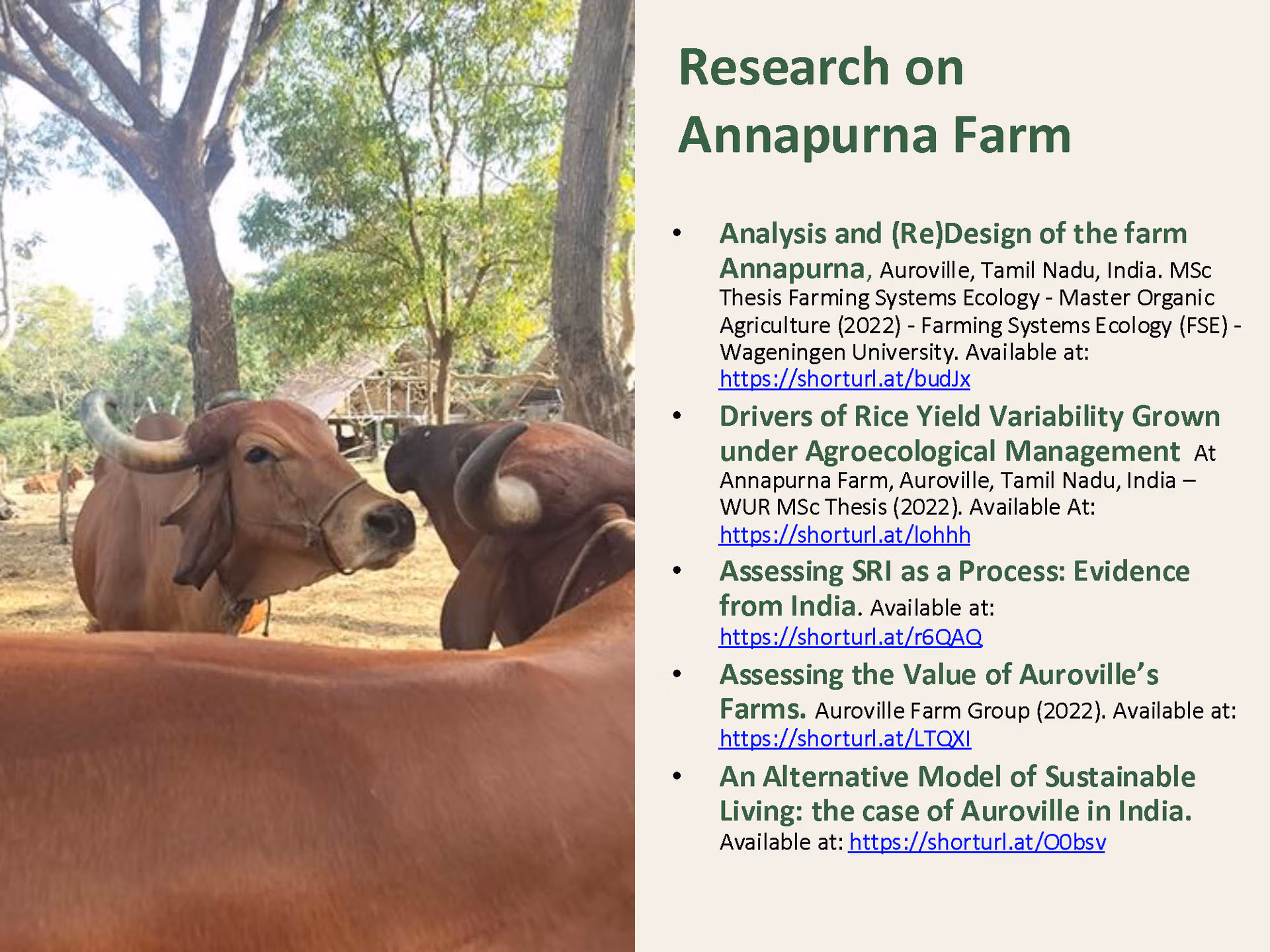 2025.08.19 Annapurna_Farm_Auroville v.5_Page_7