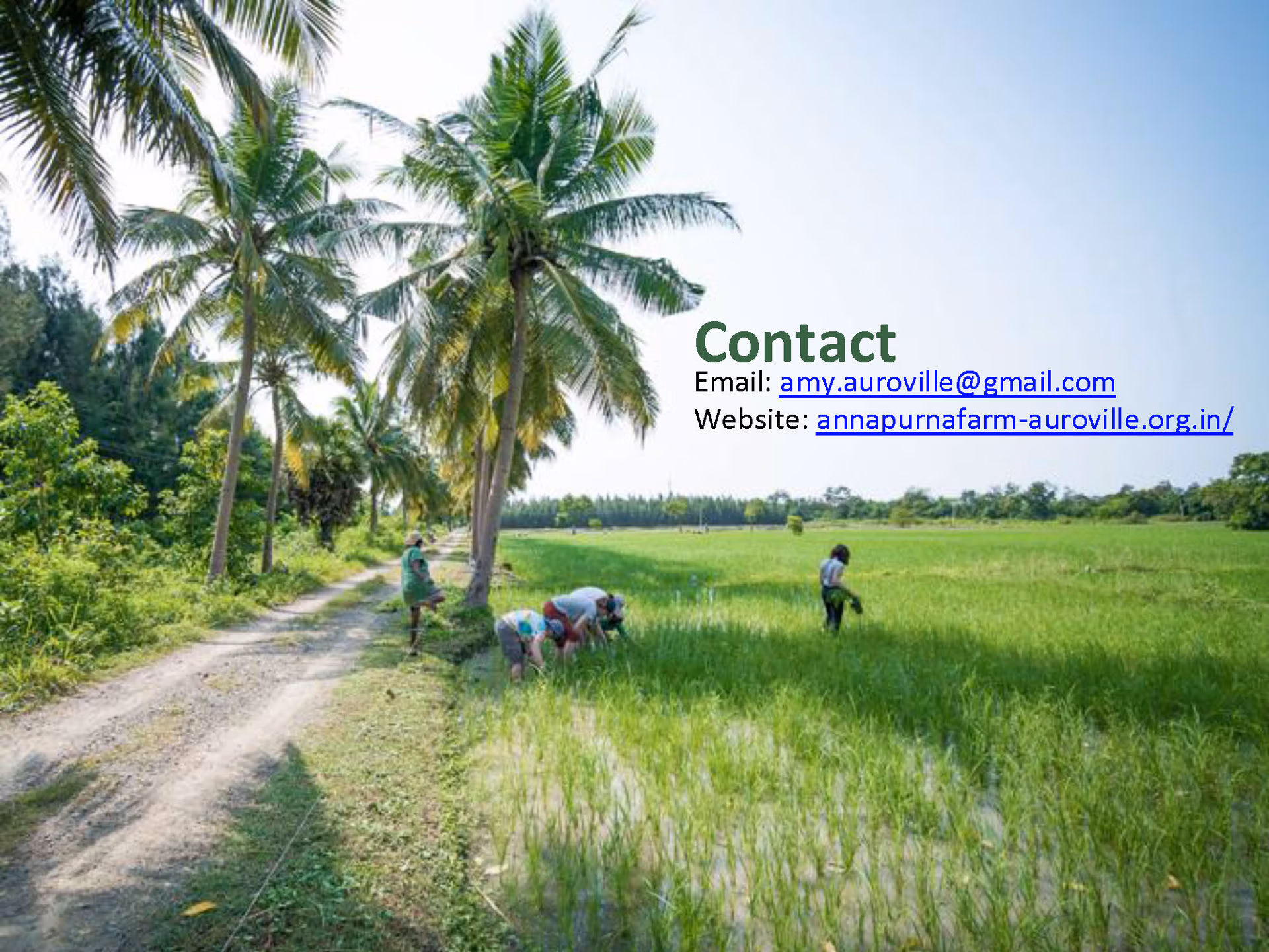 2025.08.19 Annapurna_Farm_Auroville v.5_Page_8