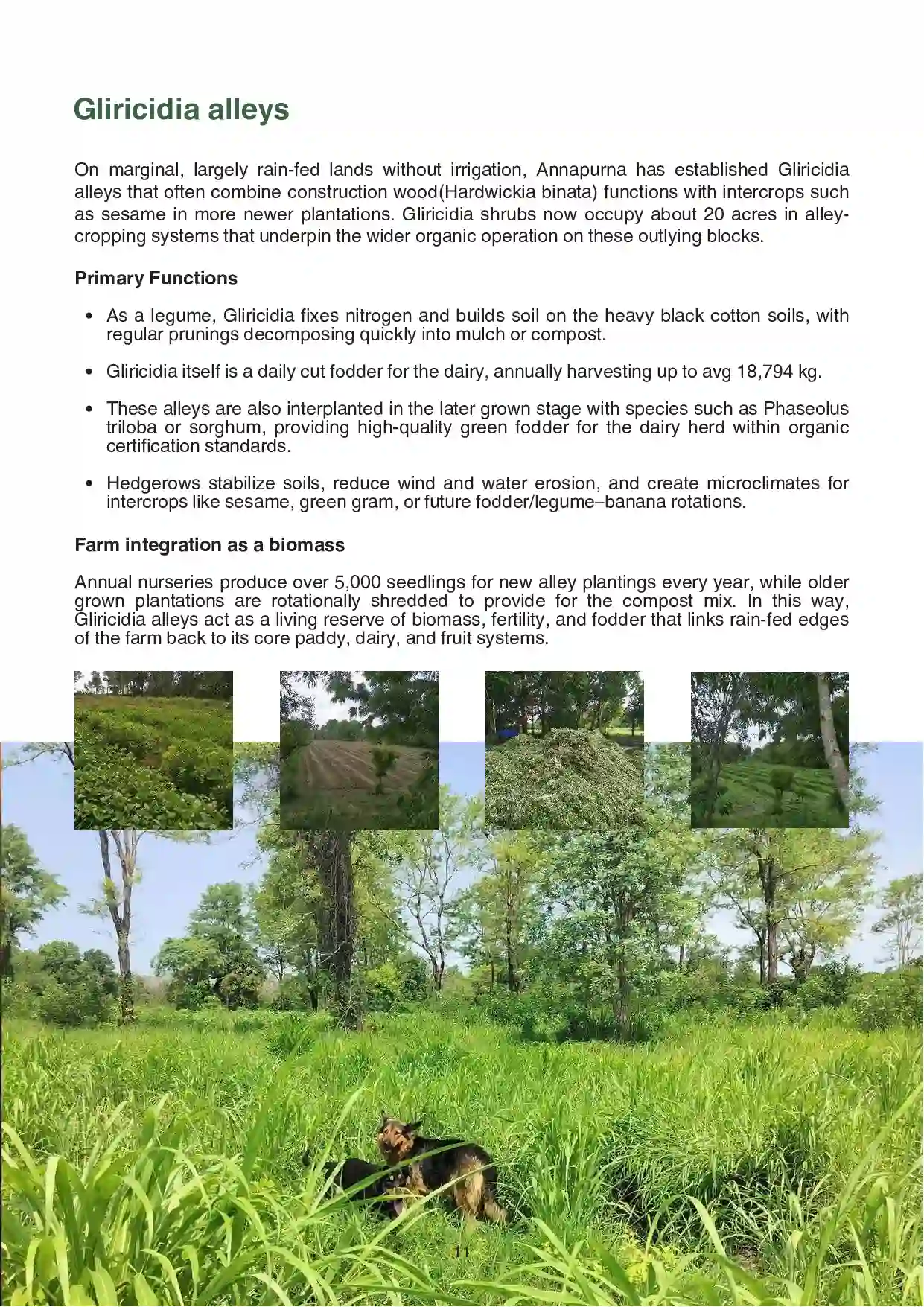 1 Annapurna Farm Report.pdf updated 06.26_compressed-11