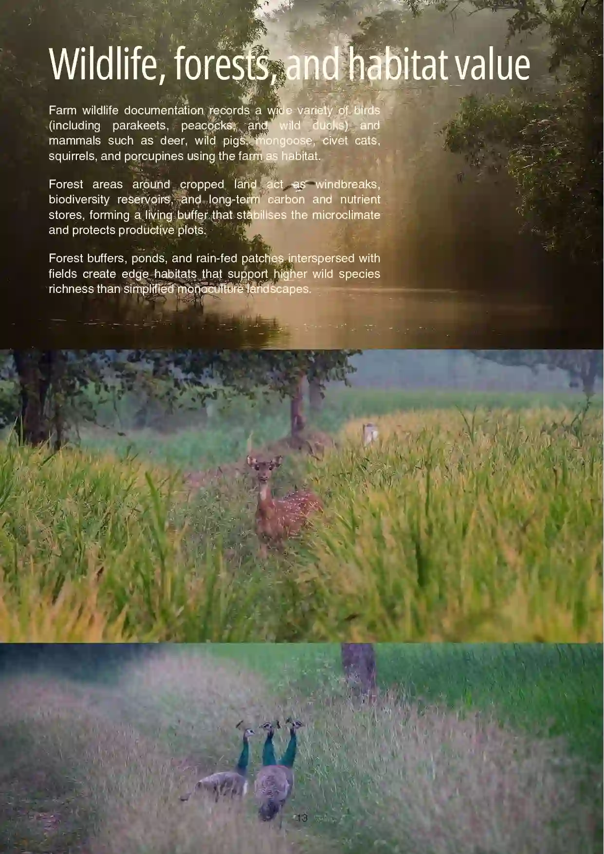 1 Annapurna Farm Report.pdf updated 06.26_compressed-13
