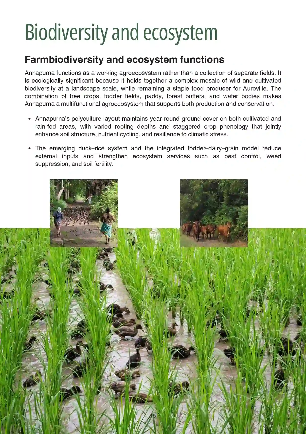 1 Annapurna Farm Report.pdf updated 06.26_compressed-15