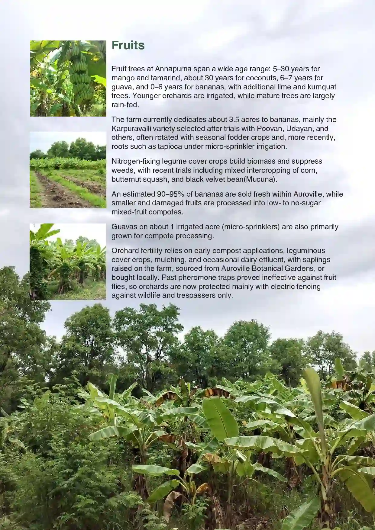 1 Annapurna Farm Report.pdf updated 06.26_compressed-8
